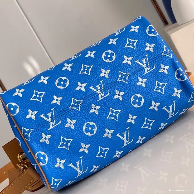 Fashionrep LV 2401YA0022 Bags 0724